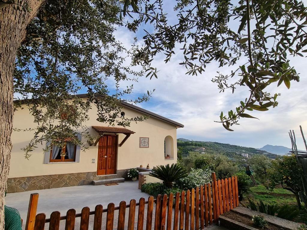 Maison Emilie Massa Lubrense Exterior foto